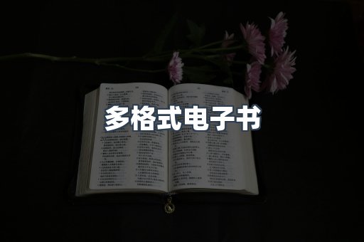 海外电子书